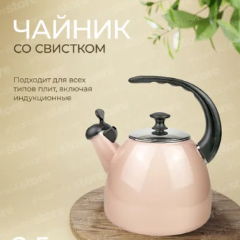 Чайник Kamille KM 1040B 2,5 л