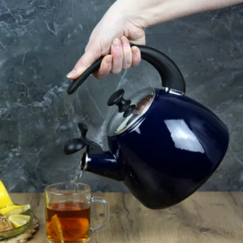 Чайник Kamille KM 1040D 2,5 л